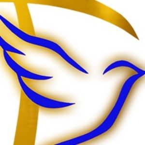 Meet your Posher, Dee